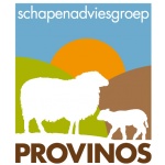 Schapen en andere dieren